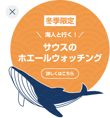 冬季限定 海人と行く！サウスのホエールウォッチング 詳しくはこちら