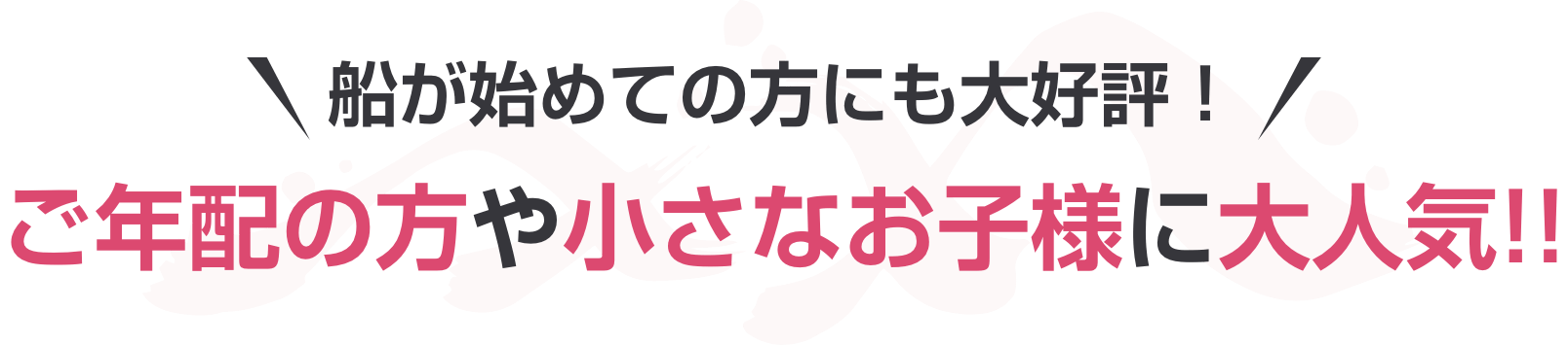 船が初めての方にも大好評！ご年配の方や小さなお子様に大人気!!